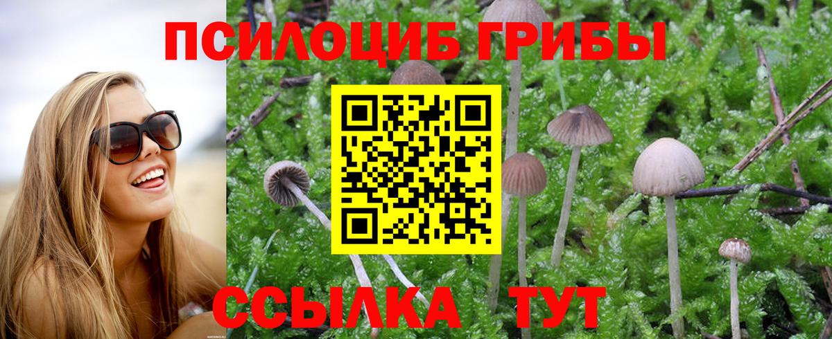 Псилоцибиновые грибы Magic Shrooms Среднеуральск