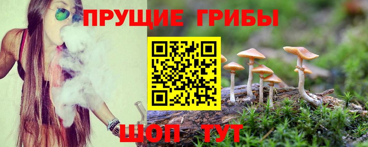 Галлюциногенные грибы прущие грибы  Вход с VPN  Среднеуральск 